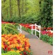 Wallpapers mural gardens with tulips and white catwalk