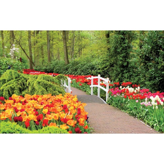 Wallpapers mural gardens with tulips and white catwalk