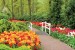Wallpapers mural gardens with tulips and white catwalk