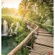 Wallpapers mural forest bridge along waterfall