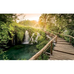 Wallpapers mural forest bridge along waterfall
