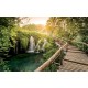 Wallpapers mural forest bridge along waterfall