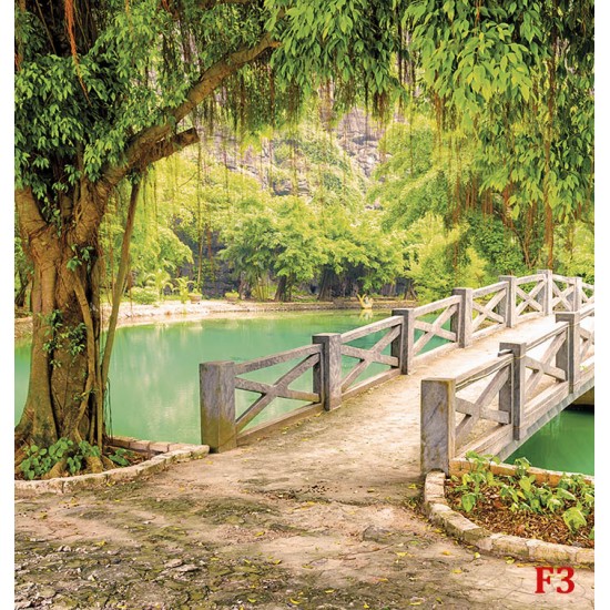 Wallpapers mural beautiful view of a tropical park with a lake and a bridge