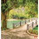 Wallpapers mural beautiful view of a tropical park with a lake and a bridge