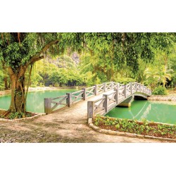 Wallpapers mural beautiful view of a tropical park with a lake and a bridge