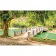 Wallpapers mural beautiful view of a tropical park with a lake and a bridge