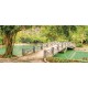 Wallpapers mural beautiful view of a tropical park with a lake and a bridge