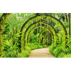 Wallpapers mural garden arch green oasis