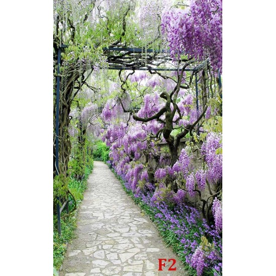 Wallpapers mural garden path with purple flowers