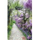 Wallpapers mural garden path with purple flowers