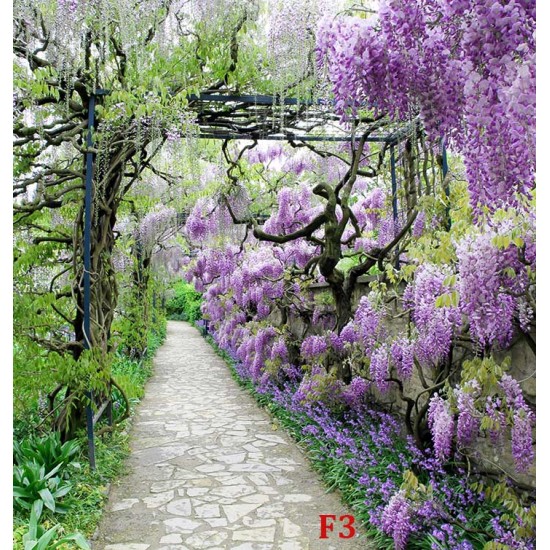 Wallpapers mural garden path with purple flowers