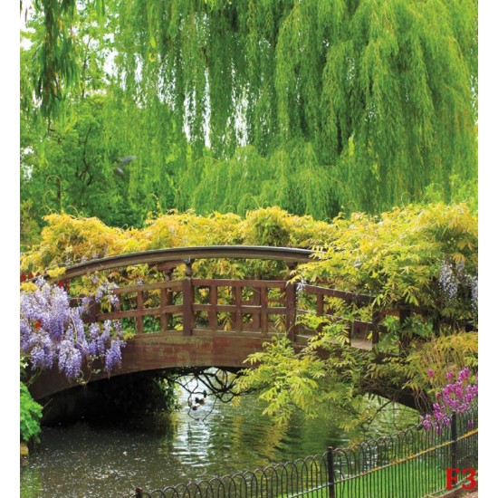 Wallpapers mural bridge in a park-garden Wallpapers mural bridge in a park-garden