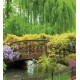 Wallpapers mural bridge in a park-garden Wallpapers mural bridge in a park-garden