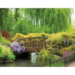 Wallpapers mural bridge in a park-garden