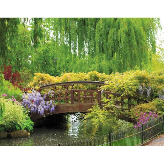 Wallpapers mural bridge in a park-garden Wallpapers mural bridge in a park-garden