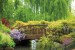 Wallpapers mural bridge in a park-garden