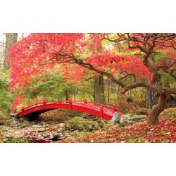 Wallpapers mural little red bridge in the forest