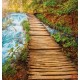 Wall mural wooden path near a river Wall mural wooden path near a river