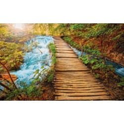 Wall mural wooden path near a river