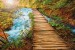 Wall mural wooden path near a river