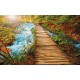 Wall mural wooden path near a river Wall mural wooden path near a river