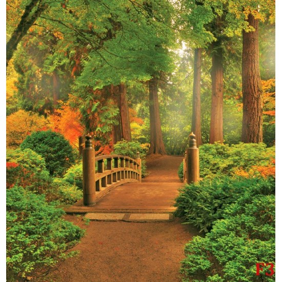 Photo mural wooden forest bridge 2
