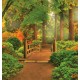 Photo mural wooden forest bridge 2