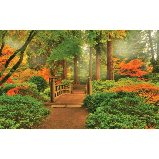Photo mural wooden forest bridge 2