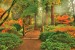 Photo mural wooden forest bridge 2