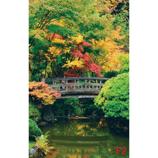 Photo mural wooden bridge over a pond