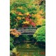 Photo mural wooden bridge over a pond