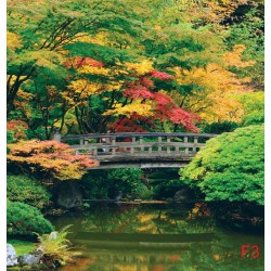 Photo mural wooden bridge over a pond