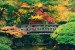 Photo mural wooden bridge over a pond