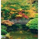 Photo mural wooden bridge over a pond