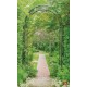 Wall mural green garden arch 3