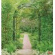 Wall mural green garden arch 3
