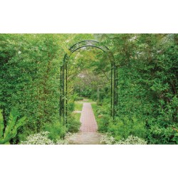 Wall mural green garden arch 3