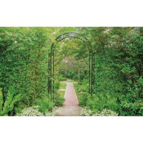 Wall mural green garden arch 3