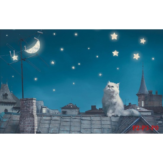 Wall mural cat on the roof Wall mural cat on the roof