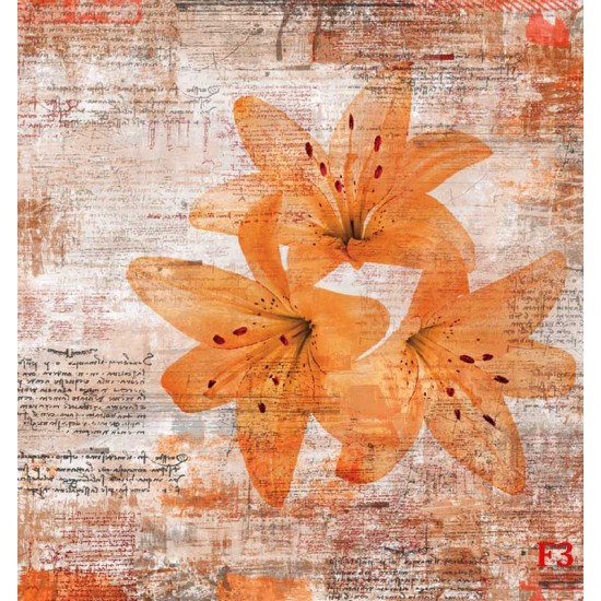 Wall murals art with inscriptions and flowers in gray and orange Wall murals art with inscriptions and flowers in gray and orange