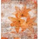Wall murals art with inscriptions and flowers in gray and orange Wall murals art with inscriptions and flowers in gray and orange