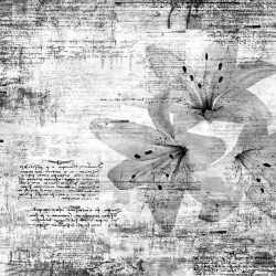 Wall murals art with inscriptions and flowers in gray and orange