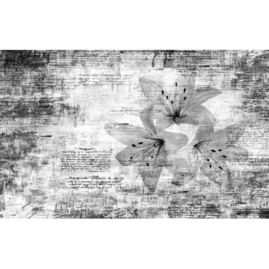 Wall murals art with inscriptions and flowers in gray and orange Wall murals art with inscriptions and flowers in gray and orange