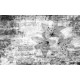 Wall murals art with inscriptions and flowers in gray and orange Wall murals art with inscriptions and flowers in gray and orange