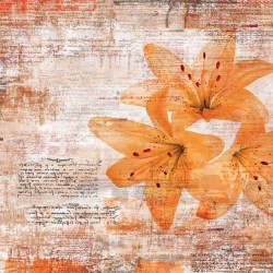 Wall murals art with inscriptions and flowers in gray and orange