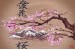 Wallpapers mural Chinese pattern with pink branch