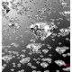 Wallpapers mural rain falling diamonds Wallpapers mural rain falling diamonds
