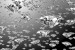Wallpapers mural rain falling diamonds