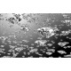 Wallpapers mural rain falling diamonds Wallpapers mural rain falling diamonds