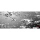 Wallpapers mural rain falling diamonds Wallpapers mural rain falling diamonds